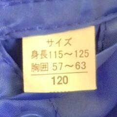 120㎝ カッパ レインコート 女の子 男の子 恐竜 青の画像
