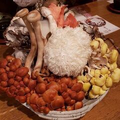 "🍄きのこ"で美活 ＆ 生駒散策＋α[モルック体験] -2025春-