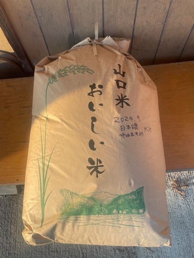 【受け渡し先決定】令和6年米　新米　きぬむすめ　日本晴れ　30kg