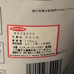 【サカタのタネ】西洋芝の種　訳ありの画像