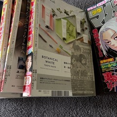 週刊少年マガジン 11冊セットの画像