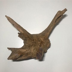 流木　約40センチの画像