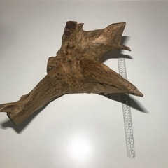 流木　約40センチの画像