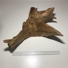 流木　約40センチの画像