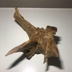 流木　約40センチの画像