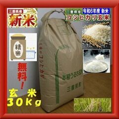 ★穫れたて！★令和６年度産新米★三重県産コシヒカリ 玄米３０㎏★農家保有米★精米無料‼★