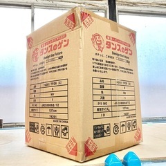 本日の目玉👀✨新品未開封シングル4点セット❗️の画像