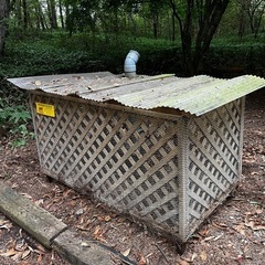 ニワトリ飼育小屋