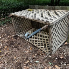 ニワトリ飼育小屋の画像