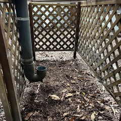 ニワトリ飼育小屋の画像