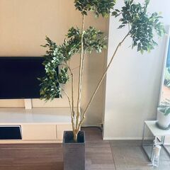 180cm人工観葉植物【1500円】+植木鉢(グレー)【3500円】の画像