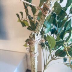 180cm人工観葉植物【1500円】+植木鉢(グレー)【3500円】の画像