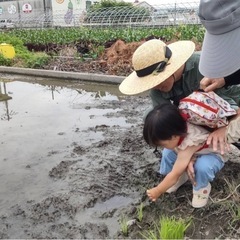 ※予約済み　受付終了しました。　新米　令和6年度産　ヒノヒカリ　30kg 玄米