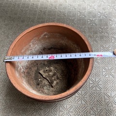 テラコッタ　鉢
の画像