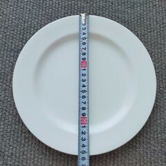 ミカサ　MIKASA　プレート　白　2枚の画像