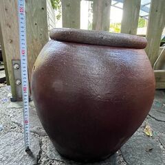 大型の睡蓮鉢・水鉢・水瓶・花活けの画像