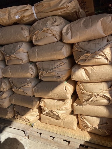 ⑤令和6年度　コシヒカリ　新米