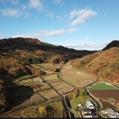 ⑤令和6年度　コシヒカリ　新米の画像