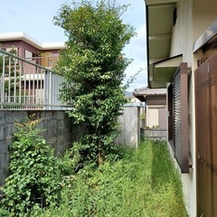名張市つつじが丘　戸建草刈り
