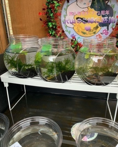 めだかの蓮音無人販売所　エビボトル