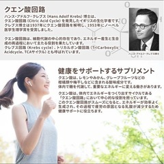 疲労回復 ニチガ クエン酸 500gの画像