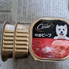 ドッグフード シーザーの画像