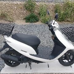 DIO AF68 インジェクション　低走行の画像