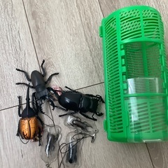 生物図鑑キーホルダーセット