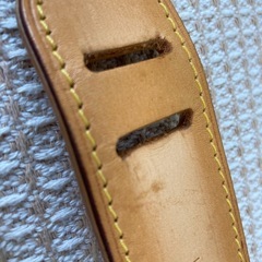 【美品】ルイヴィトン　ナイル　肩当ての画像