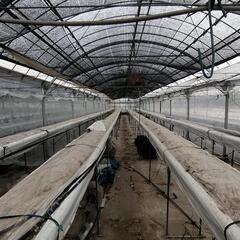 農業資材　栽培用土　細粒綿の画像