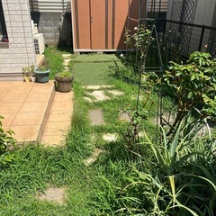 明日10／4お庭の草むしり、残土出し