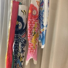 鯉のぼりの画像
