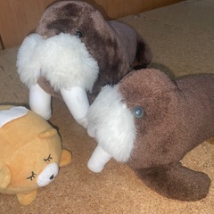 ぬいぐるみ セイウチ親子と犬の天使の画像