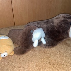 ぬいぐるみ セイウチ親子と犬の天使の画像