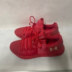 アンダーアーマーシューズ
の画像