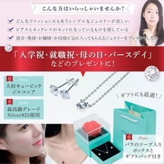 【新品】ネックレス ピアス 箱付き シルバー925の画像
