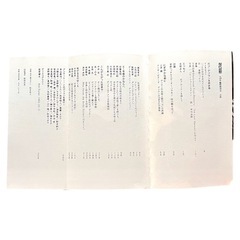 現代思想　ボブディランの画像