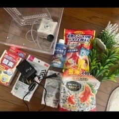 金魚飼育セット