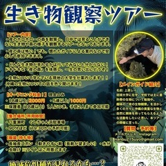 【先着5組無料キャンペーン！】生き物好き必見！！ドキドキのナイト...