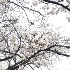 手助けします！