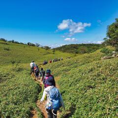 11/16(土) 	蓬莱山で空中散歩