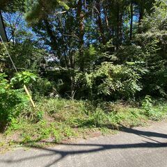 山梨県北杜市小淵沢町の別荘地の土地をお譲りしますの画像