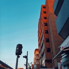 一緒に散歩しましょう！