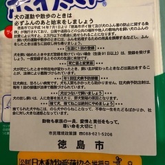 ペット　うんち袋　2個セット　未使用の画像