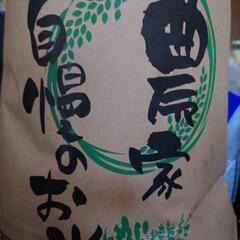 令和６年　愛知県産コシヒカリ　新米　10キロ
