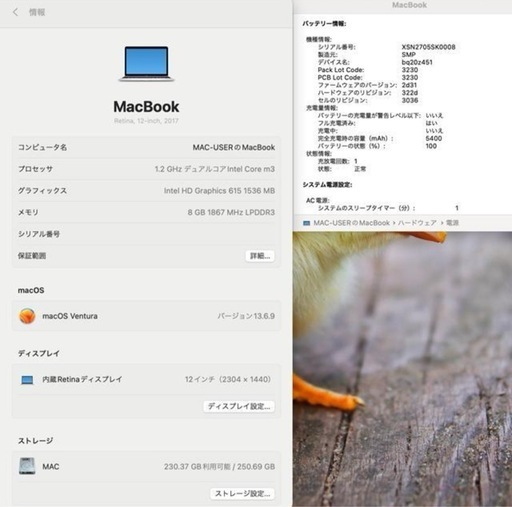 【美品】MacBook 2017 m3/8GB/256GB_SLV
