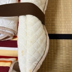 クーファン　赤ちゃんの画像