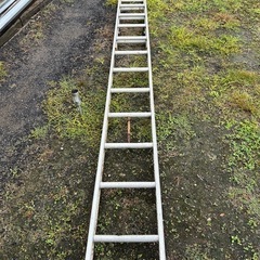 長谷川工業　アルミハシゴ2連の画像