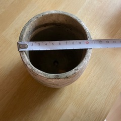 【10/6まで】植物鉢の画像