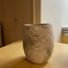 【10/6まで】植物鉢の画像